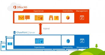 微軟宣布年底前發布SharePoint Server 2016，推動企業辦公平臺升級